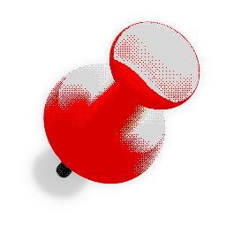 pin image