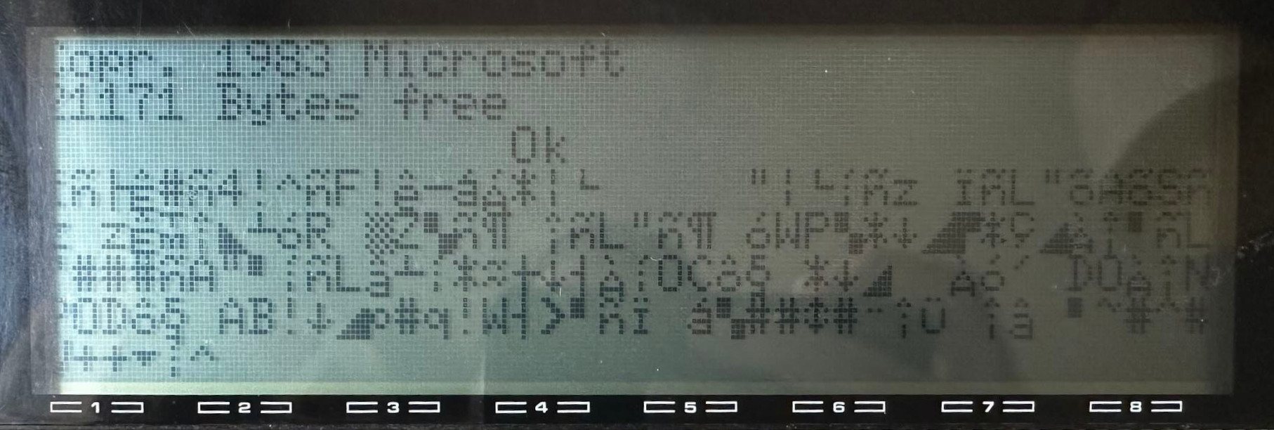 TRS-80 Gibberish screen